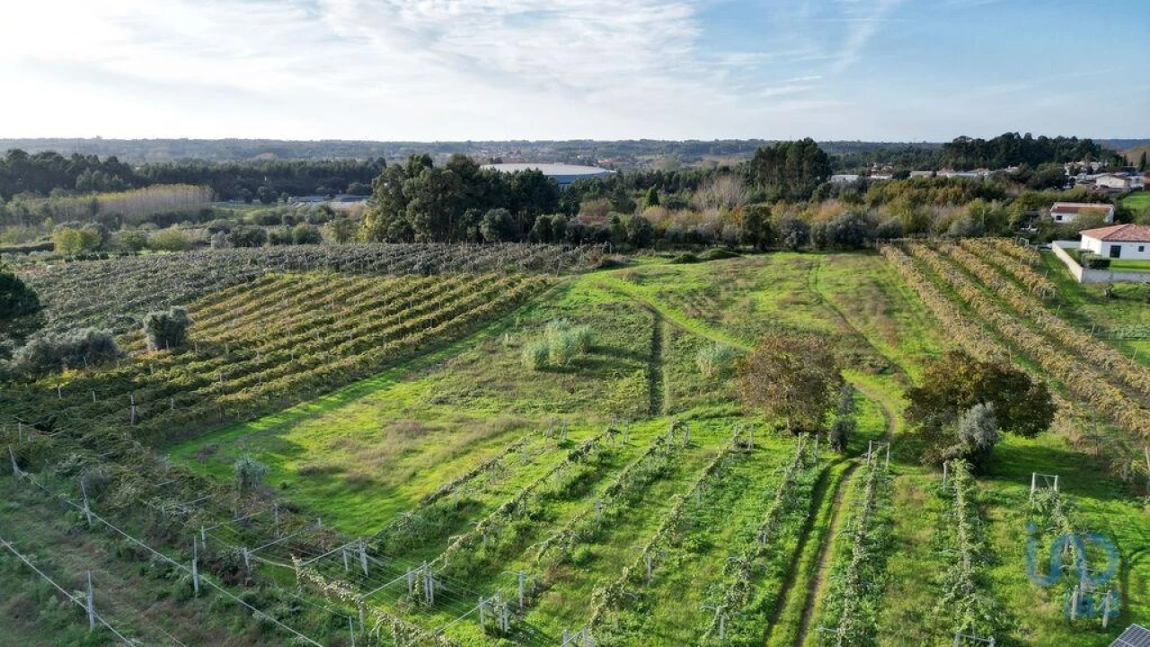 Terreno para Venda em Sangalhos Foto 2