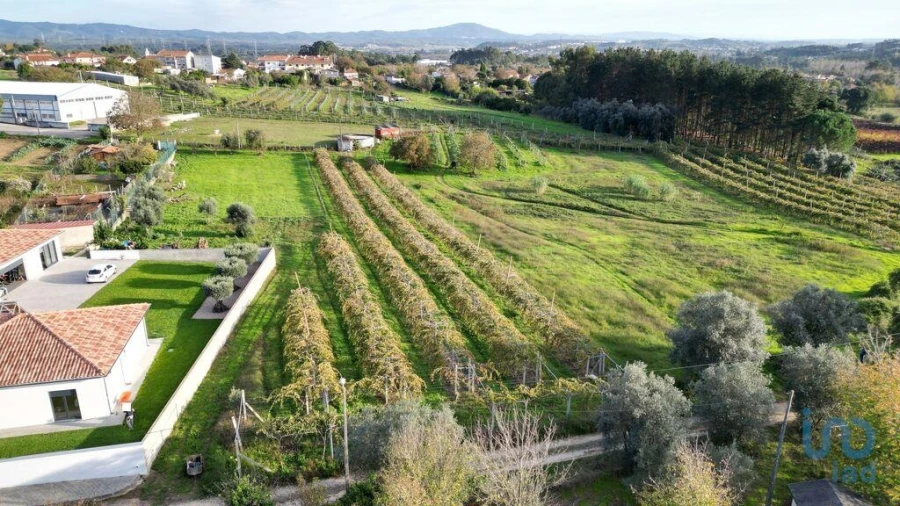 Terreno para Venda em Sangalhos Foto 8