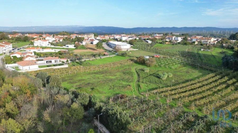Terreno para Venda em Sangalhos Foto 6