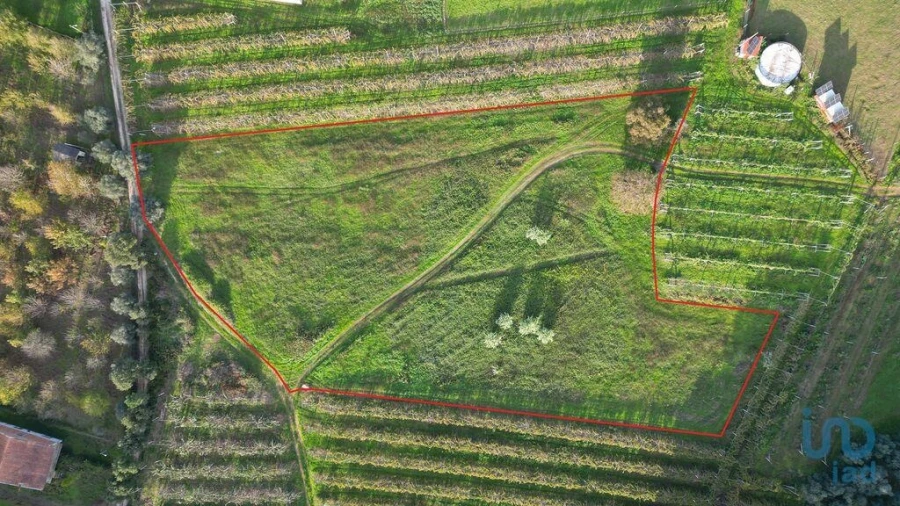 Terreno para Venda em Sangalhos