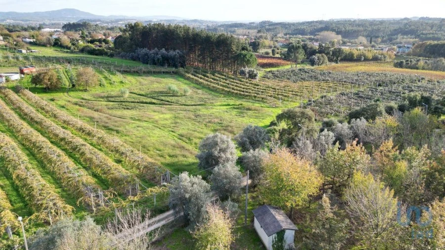 Terreno para Venda em Sangalhos Foto 9