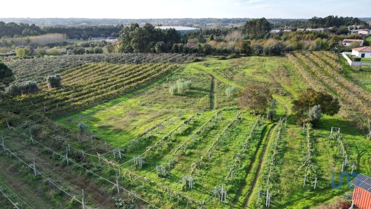 Terreno para Venda em Sangalhos Foto 3