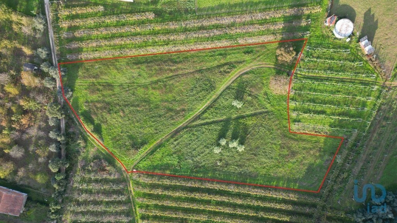 Terreno para Venda em Sangalhos Foto 1