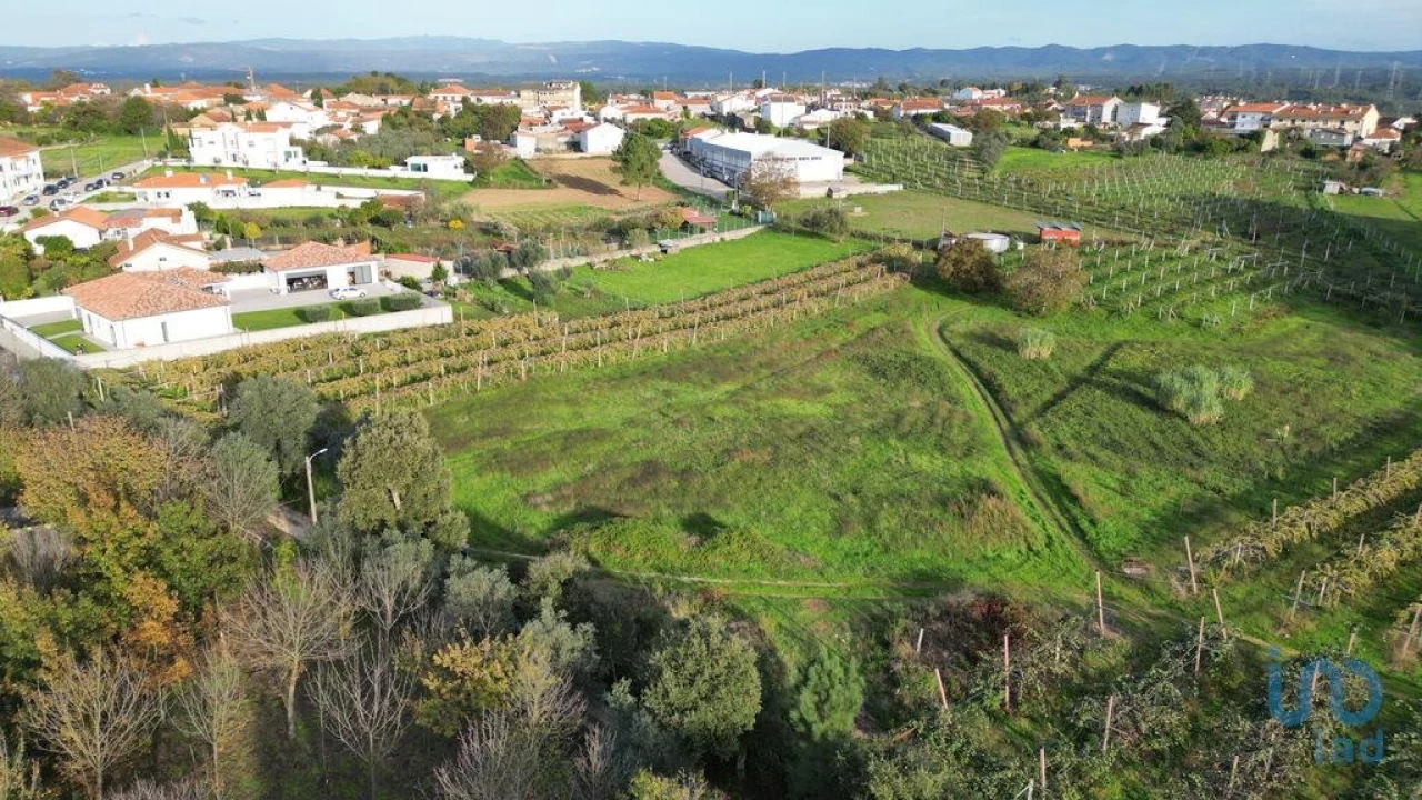 Terreno para Venda em Sangalhos Foto 10