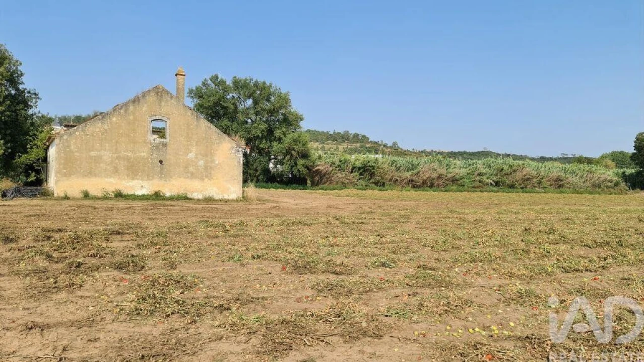 Terreno para Venda em São João da Ribeira e Ribeira de São João Foto 13