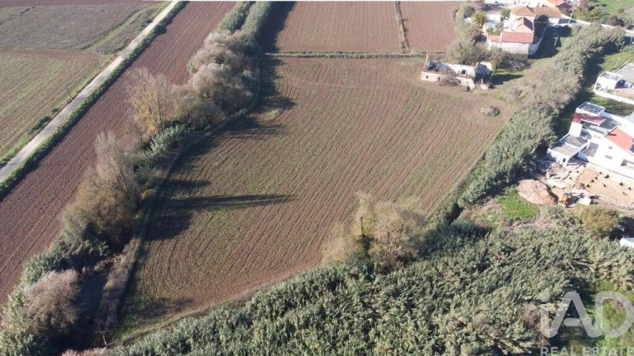 Terreno para Venda em São João da Ribeira e Ribeira de São João Foto 2