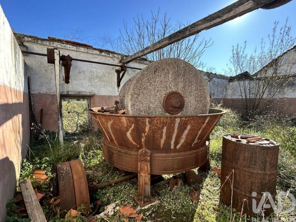 Terreno para Venda em São João da Ribeira e Ribeira de São João Foto 9
