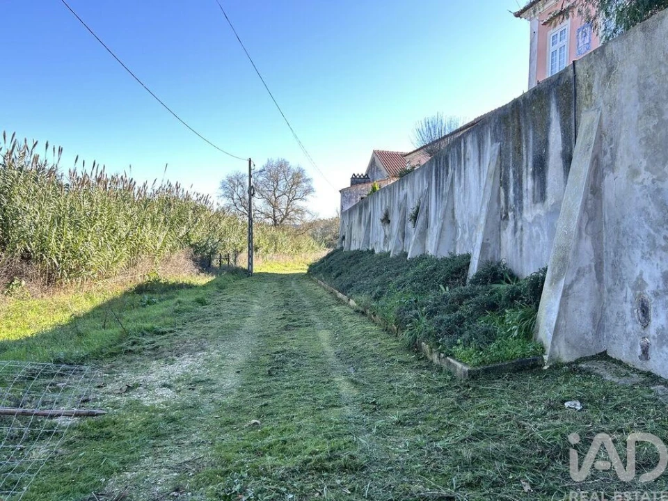 Terreno para Venda em São João da Ribeira e Ribeira de São João Foto 7