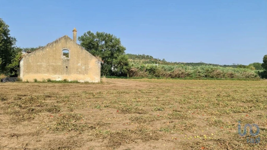 Terreno para Venda em São João da Ribeira e Ribeira de São João Foto 13
