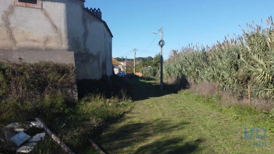 Terreno para Venda em São João da Ribeira e Ribeira de São João Foto 5