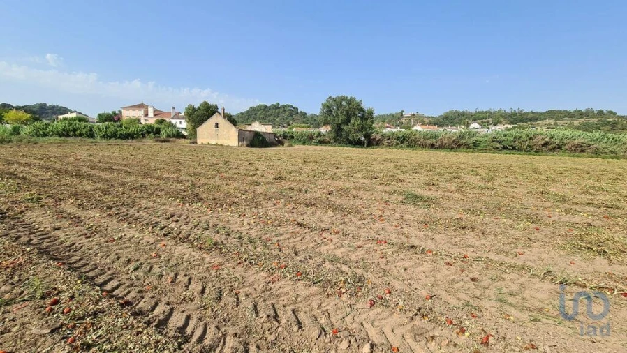 Terreno para Venda em São João da Ribeira e Ribeira de São João Foto 12