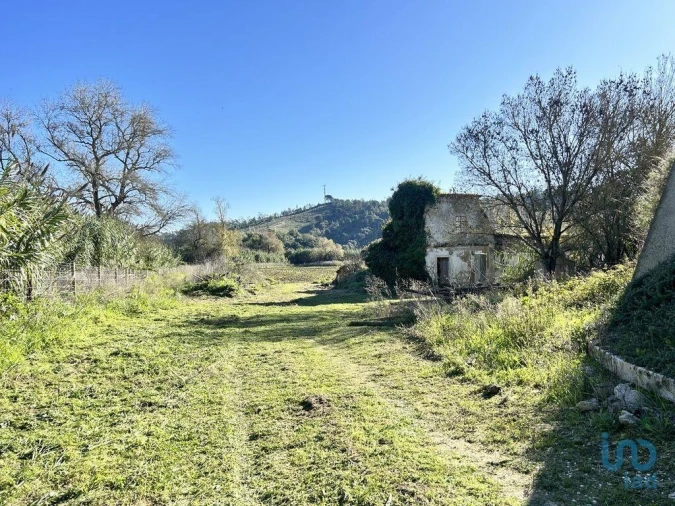 Terreno para Venda em São João da Ribeira e Ribeira de São João Foto 6