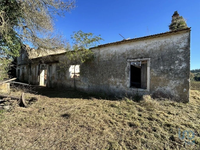 Terreno para Venda em São João da Ribeira e Ribeira de São João Foto 8