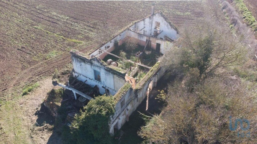 Terreno para Venda em São João da Ribeira e Ribeira de São João Foto 3
