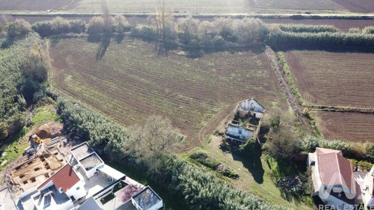 Terreno para Venda em São João da Ribeira e Ribeira de São João Foto 1