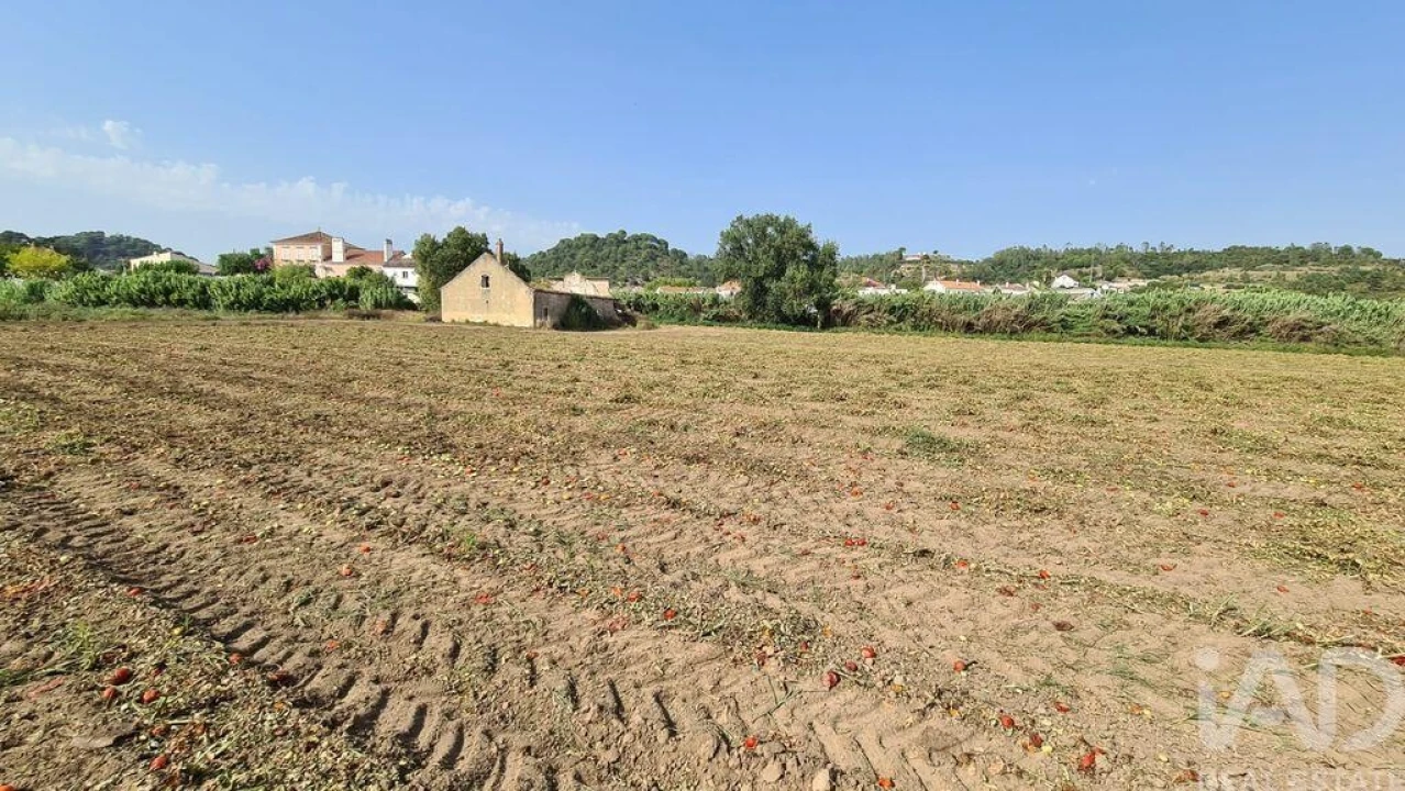 Terreno para Venda em São João da Ribeira e Ribeira de São João Foto 12