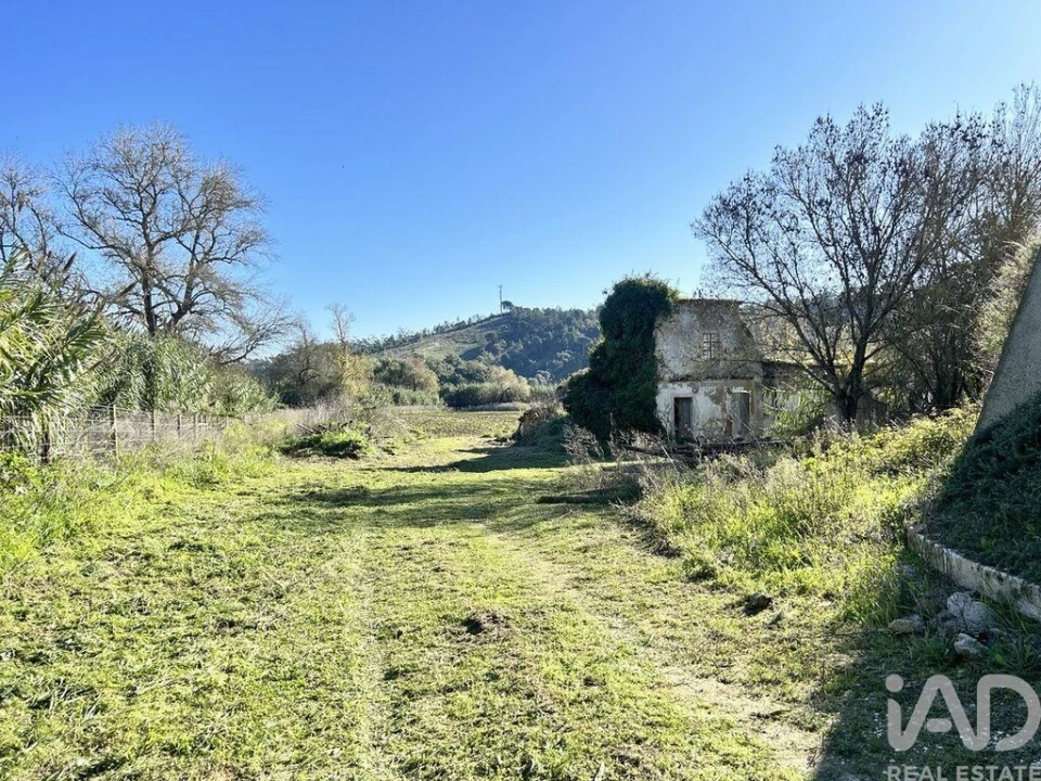 Terreno para Venda em São João da Ribeira e Ribeira de São João Foto 6