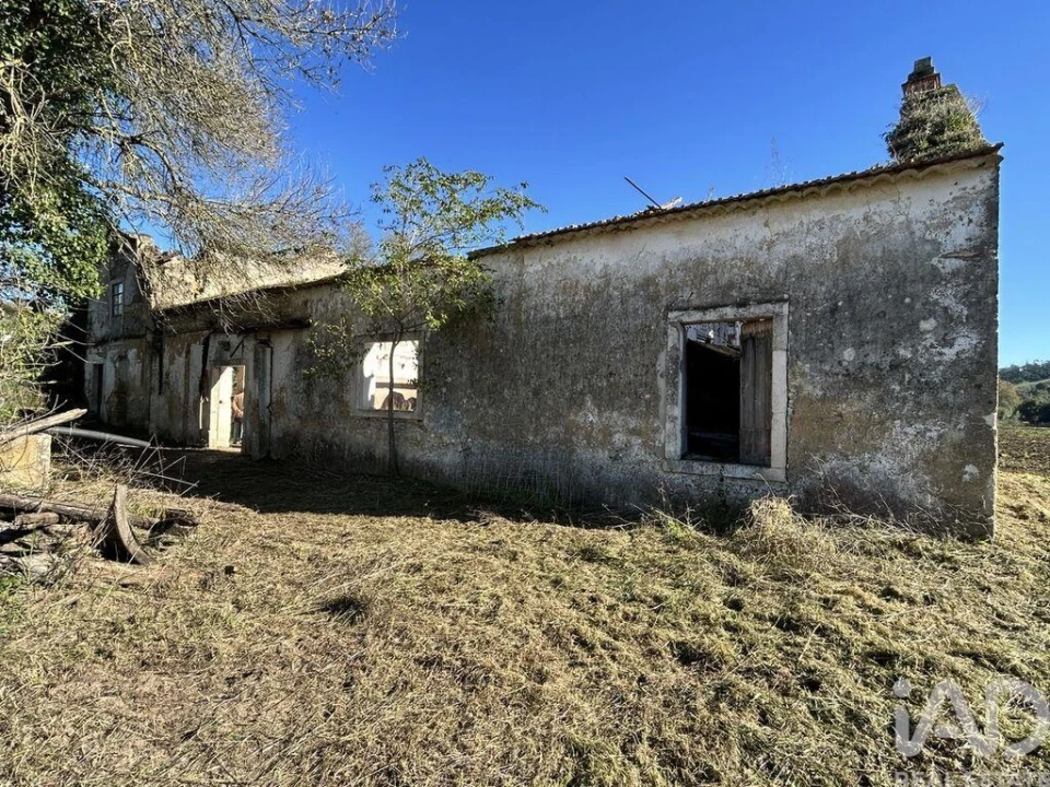Terreno para Venda em São João da Ribeira e Ribeira de São João Foto 8