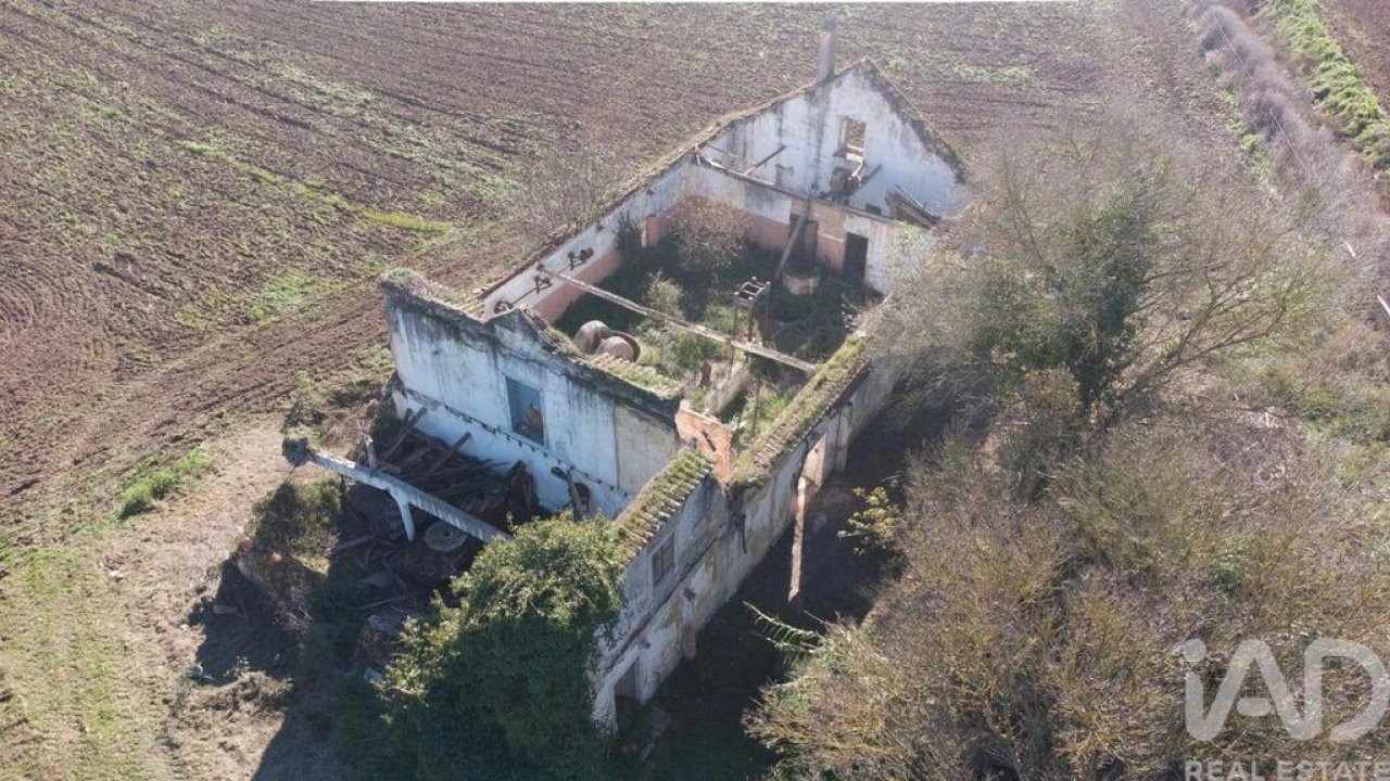 Terreno para Venda em São João da Ribeira e Ribeira de São João Foto 3