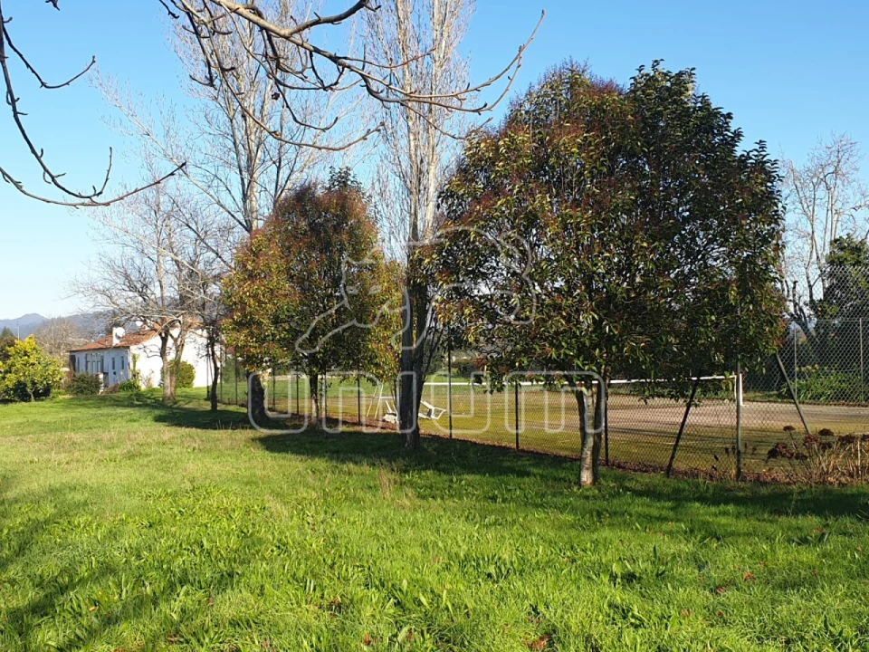 Quinta T11 para Venda em Vila Franca Foto 4