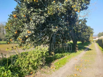 Quinta T11 para Venda em Vila Franca