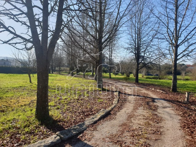 Quinta T11 para Venda em Vila Franca Foto 3