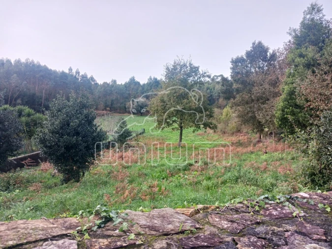 Terreno para Venda em Nogueira, Meixedo e Vilar de Murteda Foto 2