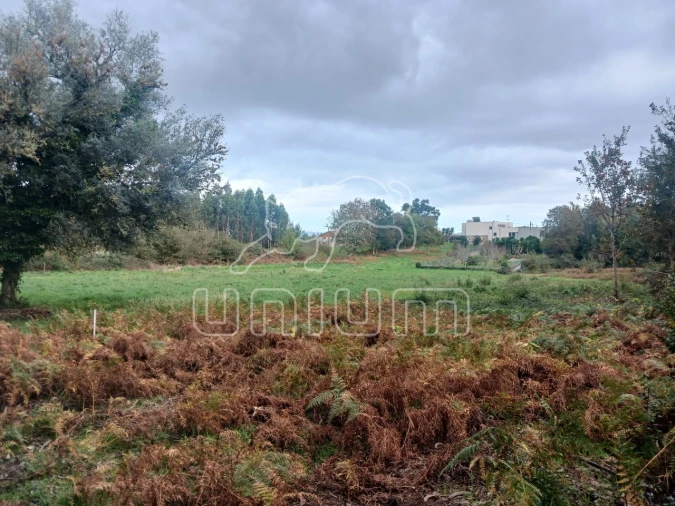 Terreno para Venda em Nogueira, Meixedo e Vilar de Murteda Foto 1