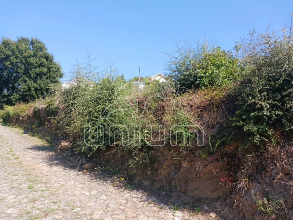 Terreno para Venda em Venade e Azevedo Foto 3
