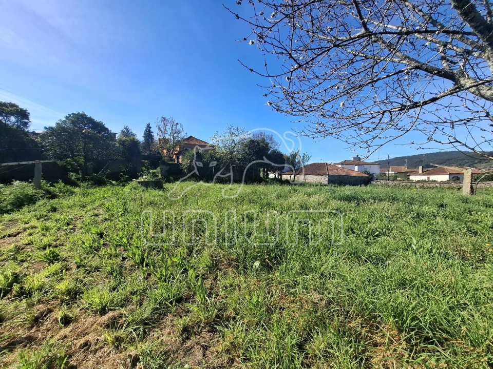 Moradia T5 para Venda em Perre Foto 29