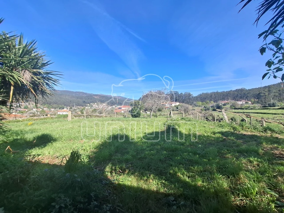 Moradia T5 para Venda em Perre Foto 30