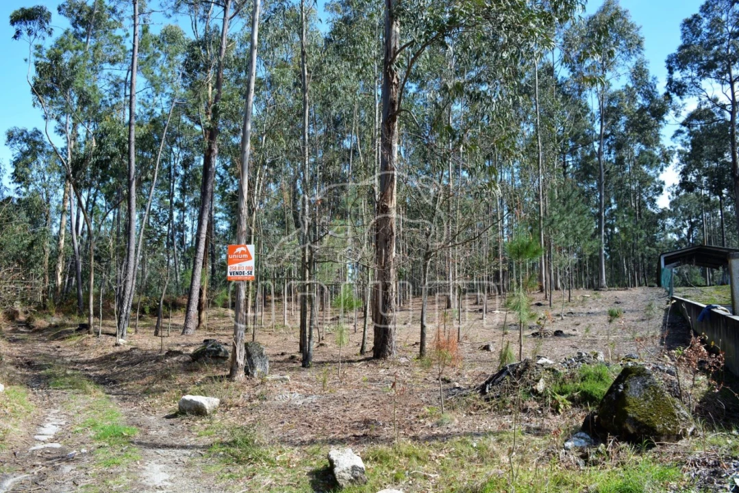 Terreno para Venda em Ardegão, Freixo e Mato Foto 1