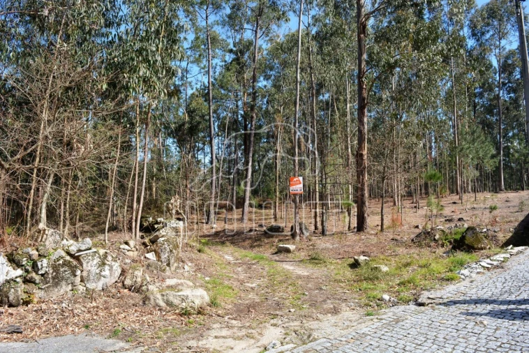 Terreno para Venda em Ardegão, Freixo e Mato Foto 2