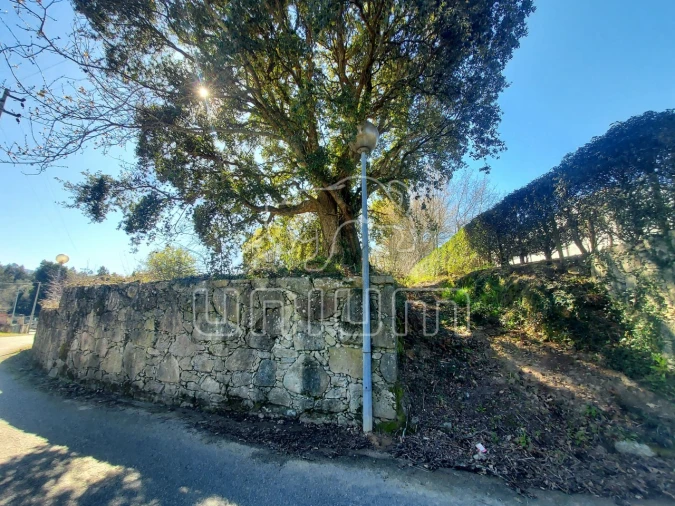 Terreno para Venda em Venade e Azevedo Foto 1