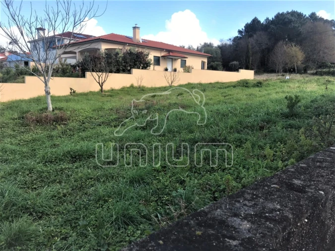 Terreno para Venda em Seixas Foto 2