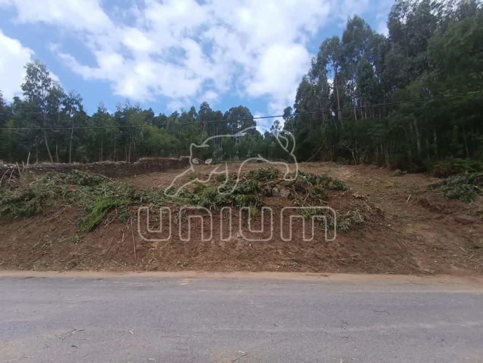 Terreno para Venda em Caminha (Matriz) e Vilarelho Foto 3