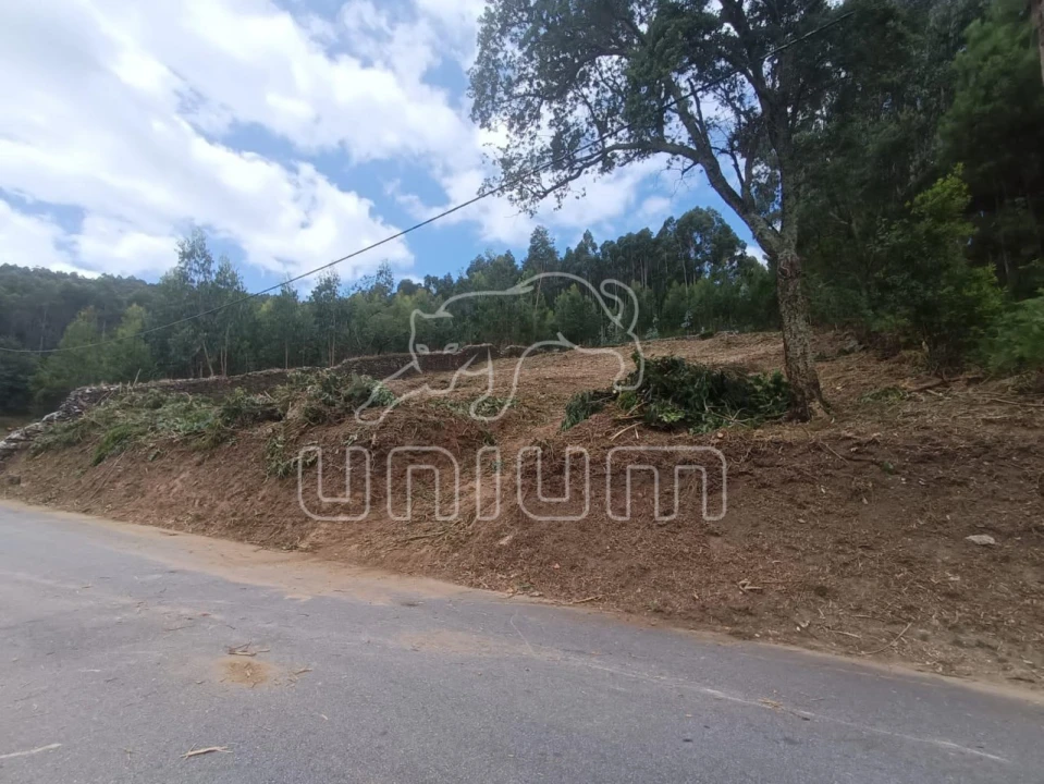 Terreno para Venda em Caminha (Matriz) e Vilarelho Foto 2