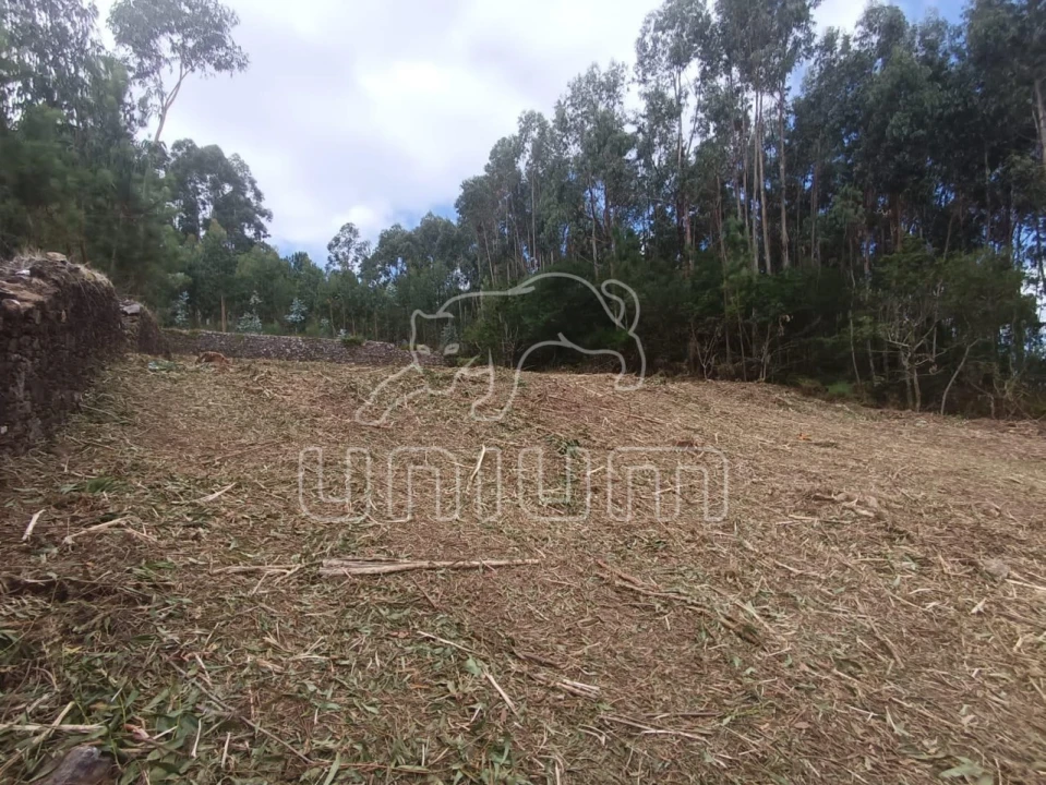 Terreno para Venda em Caminha (Matriz) e Vilarelho Foto 8