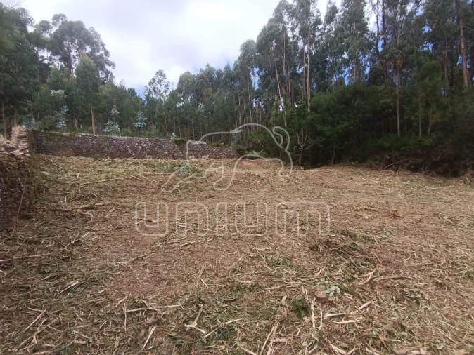 Terreno para Venda em Caminha (Matriz) e Vilarelho Foto 6