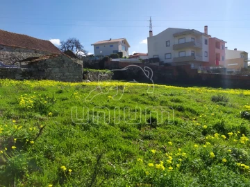 Terreno para Venda em Areosa