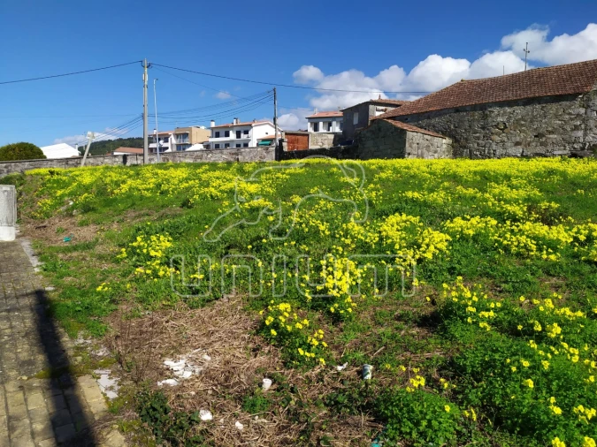 Terreno para Venda em Areosa Foto 5