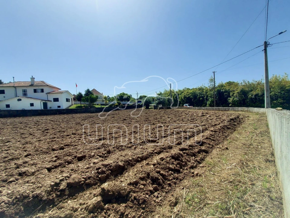 Terreno para Venda em Nogueira, Meixedo e Vilar de Murteda Foto 3