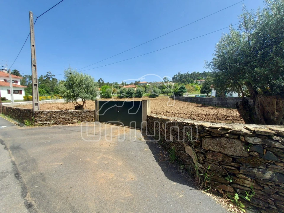 Terreno para Venda em Nogueira, Meixedo e Vilar de Murteda Foto 5
