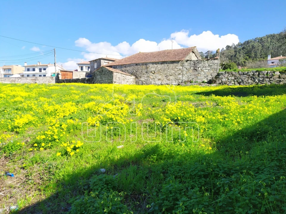 Terreno para Venda em Areosa Foto 2