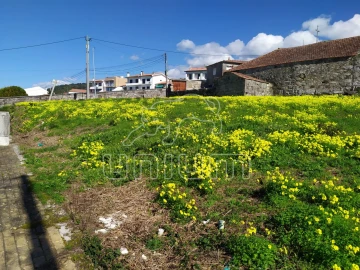 Terreno para Venda em Areosa
