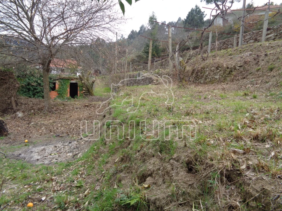 Terreno para Venda em Labruja Foto 2
