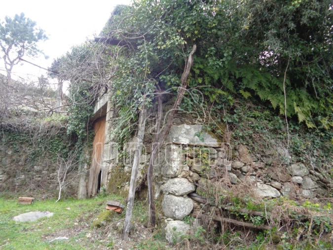 Terreno para Venda em Labruja Foto 7