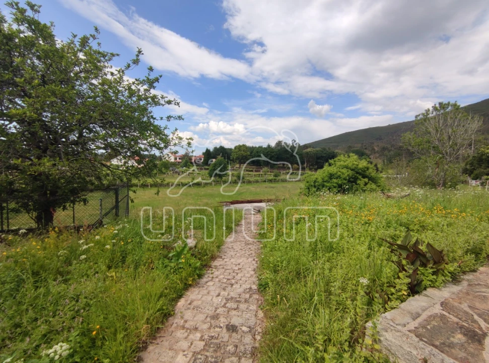 Quinta T5 para Venda em Venade e Azevedo Foto 11