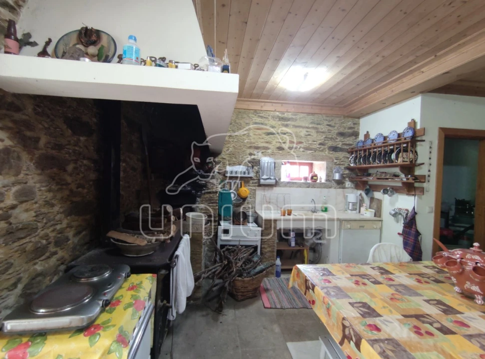 Quinta T5 para Venda em Venade e Azevedo Foto 18