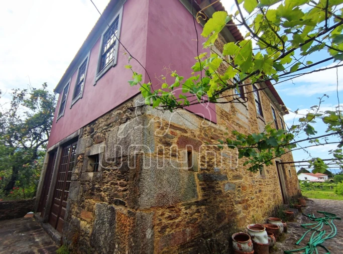 Quinta T5 para Venda em Venade e Azevedo Foto 3